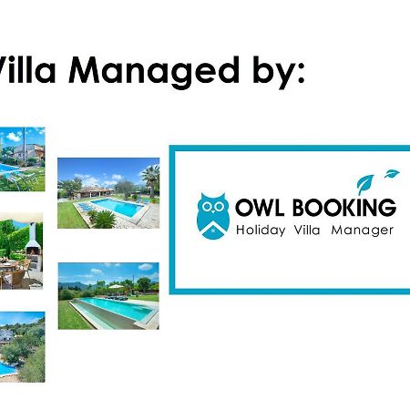 Owl Booking Villa Volanti - 5 Min Walk To The Old Town 波连斯萨 外观 照片